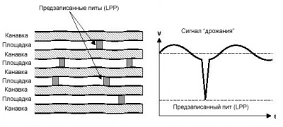 lpp_1.jpg